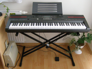 Casio WK-110